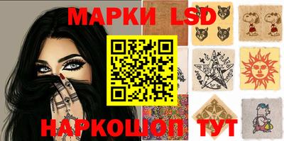 стаф Кингисепп