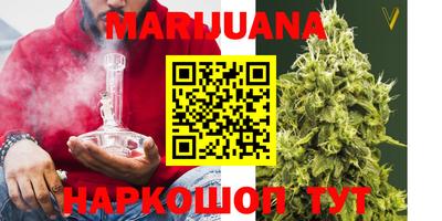 стаф Кингисепп